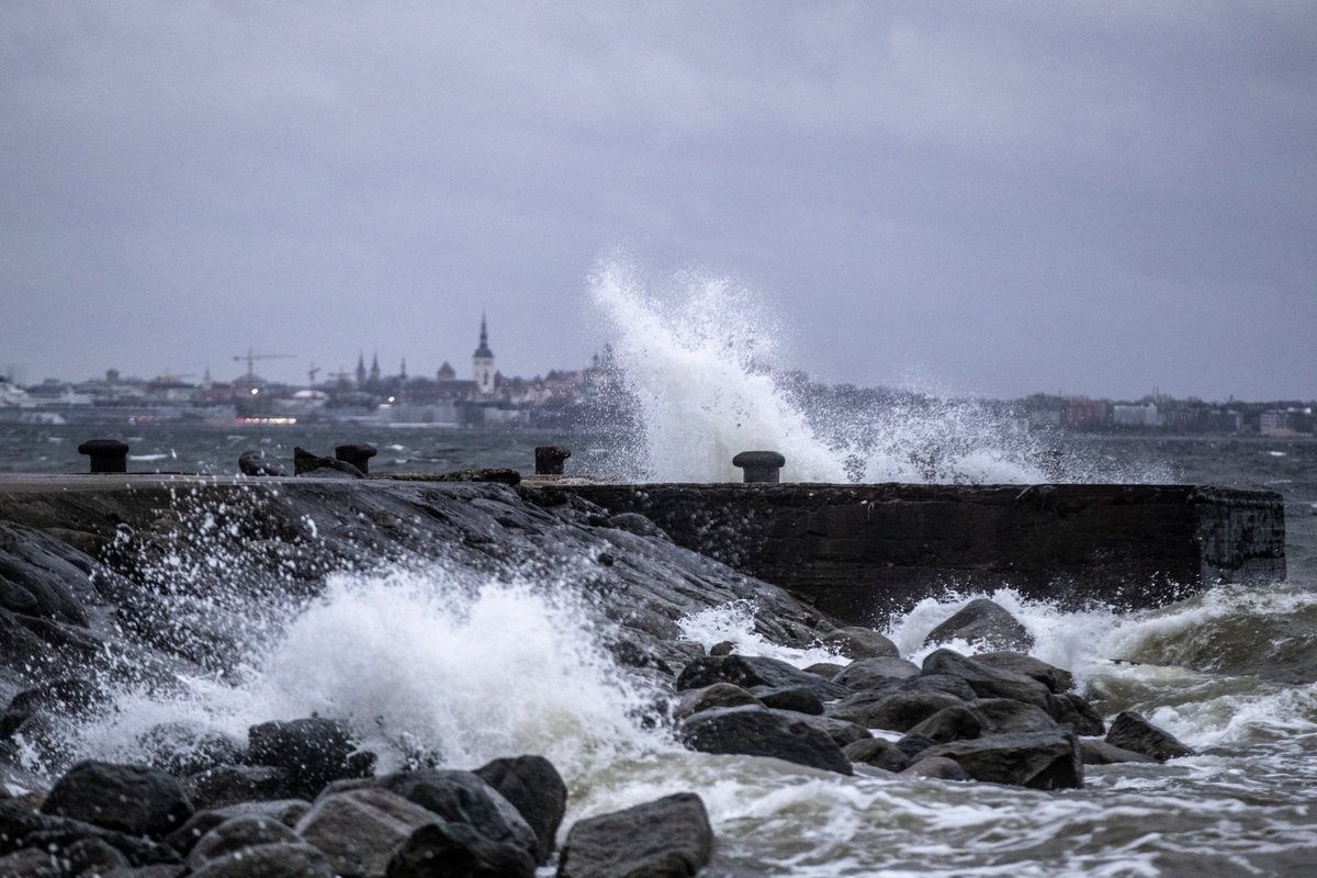 Надвигающихся штормов экспедицию решено перенести. Эстония шторм. Эстония ветер. Эстония погода. Погода в Таллине фото сегодня.