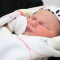 В июне в Эстонии родилось двойняшек больше обычного
