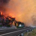 Portugali lõunaosas võitleb üle 800 tuletõrjuja maastikupõlenguga