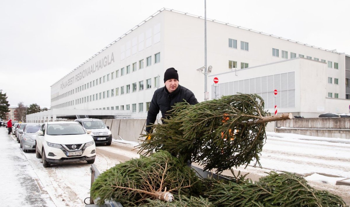 Накануне Рождества RMK подарил различным больницам по всей Эстонии 106 елей, чтобы выразить благодарность медицинскому персоналу и порадовать пациентов