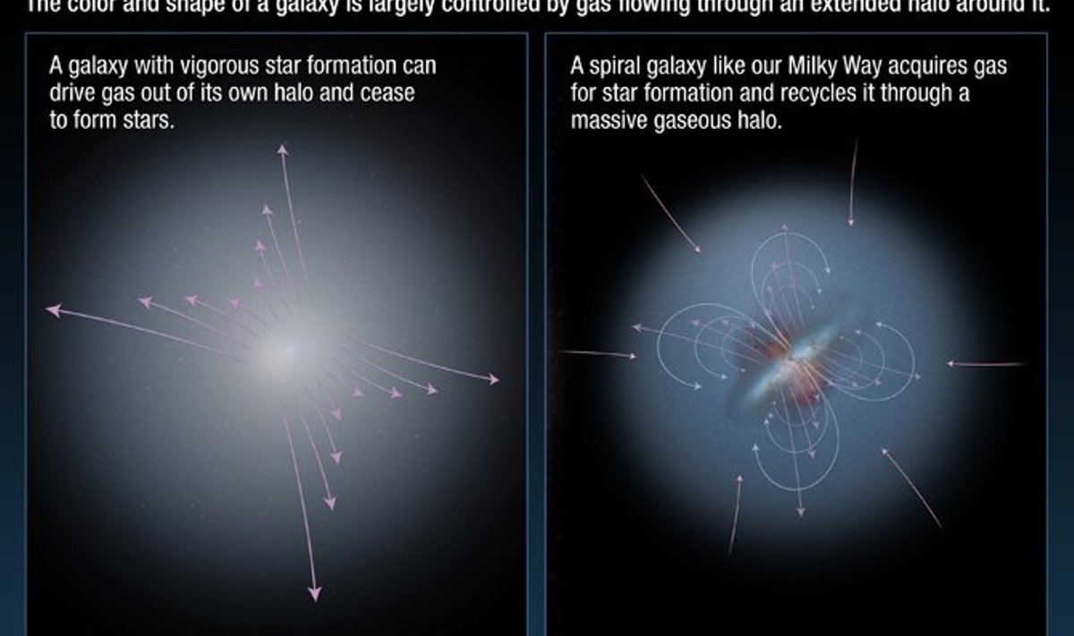 Galaktika värvust ja kuju kontrollib suuresti gaas, mis voolab läbi seda ümbritseva ulatusliku halo