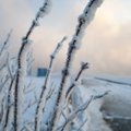 Soomes ennustatakse lumesadu ka riigi lõunaossa