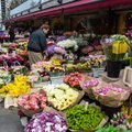 Продавцы цветов уходят с улицы Виру. "За десять квадратных метров - 10 000 евро в месяц. Это самая дорогая недвижимость в Европе“
