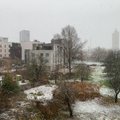FOTO | Esimesed lumememmed on kerkinud! Lõuna-Eesti kattus selle talve esimese valge vaibaga