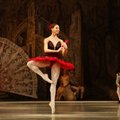 Lvivi rahvusooper toob Eestisse sõjas oleva Ukraina balletikunsti. „Meie rinne on teater, töötame kõigest hoolimata edasi!“