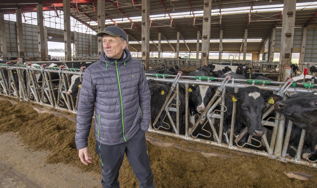 Metstaguse Agro juhataja Teet Kallakmaa Järvamaalt on otsustanud põllumajandusega lõpparve teha, üheks põhjuseks madal piimahind.   