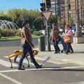 VIDEO | Naine jalutab linnas ülikalli robotkoeraga