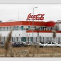 Vahistati Peterburi Coca-Cola tehase direktori tapmises kahtlustatavad