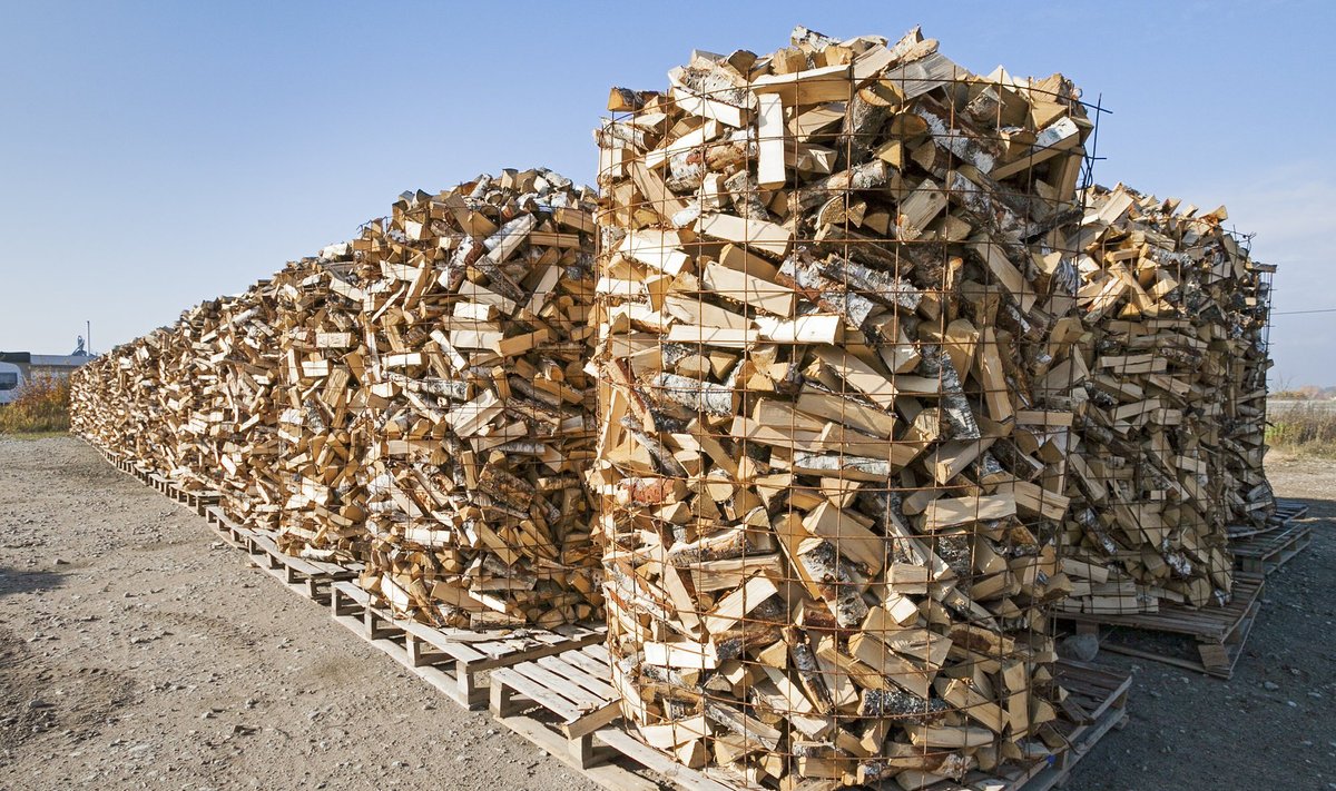 Экспорт дров. Иллюстративное фото.