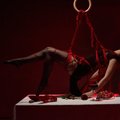 ПОДКАСТ | Садизм или искусство? О сексуальной практике шибари