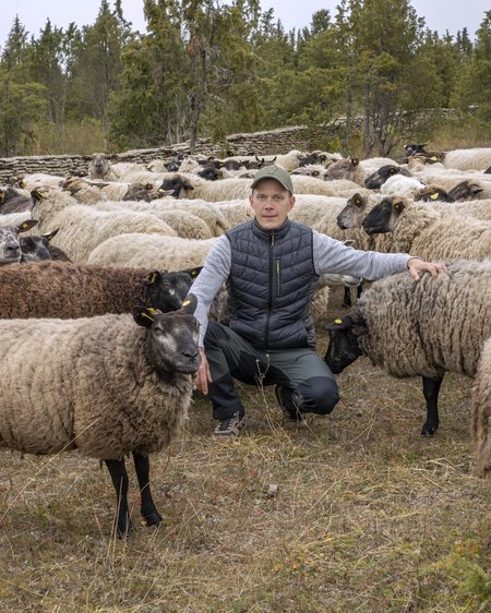 „Kui nutikalt ja mitmekülgselt majandada, on täiesti võimalik lambakasvatusega ära elada ja oma peret toita,“ teatab lambakasvataja Priidu Veersalu.