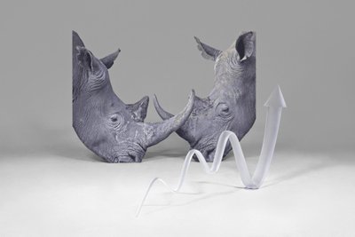 Katja Novitskova „Pattern of Activation (rhinos)“, 2014.