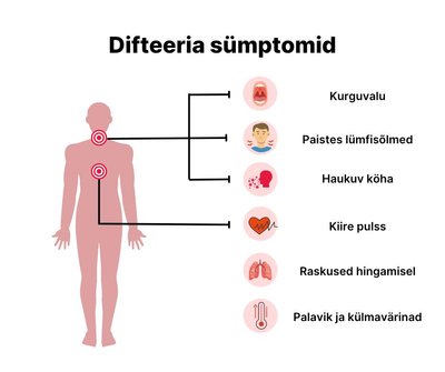 Difteeria tunneb ära selliste sümptomite järgi.