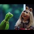 Viska pilk peale: Konn Kermit ja miss Piggy on tagasi! Muppetid saavad oma teleseriaali