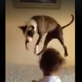 Naljakas VIDEO | Graatsiline sooritus! Vaata, kuidas väikesed lapsed koerale hüppamise selgeks õpetasid