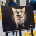 Ведущий немецкий фотограф фотографирует собак в центре Т1