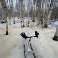 ВИДЕО | Ледяной рай! Успейте прокатиться на финских санках в Соомаа