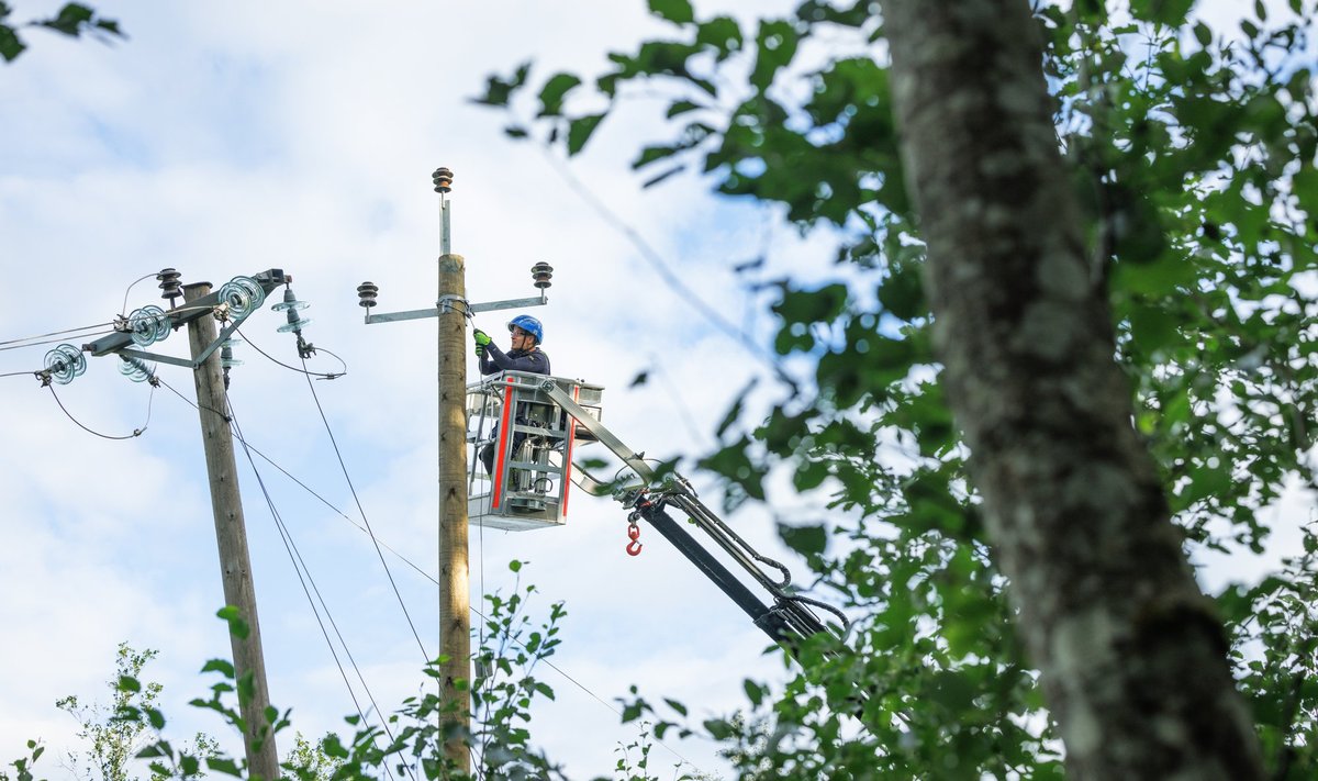 Üldteenuse korral ei ole tarbija sõlminud lepingut ühegi elektrimüüjaga.