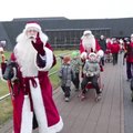 ФОТО и ВИДЕО: Праздник пришел в зоопарк! Деды Морозы порадовали зверей елками и лакомствами