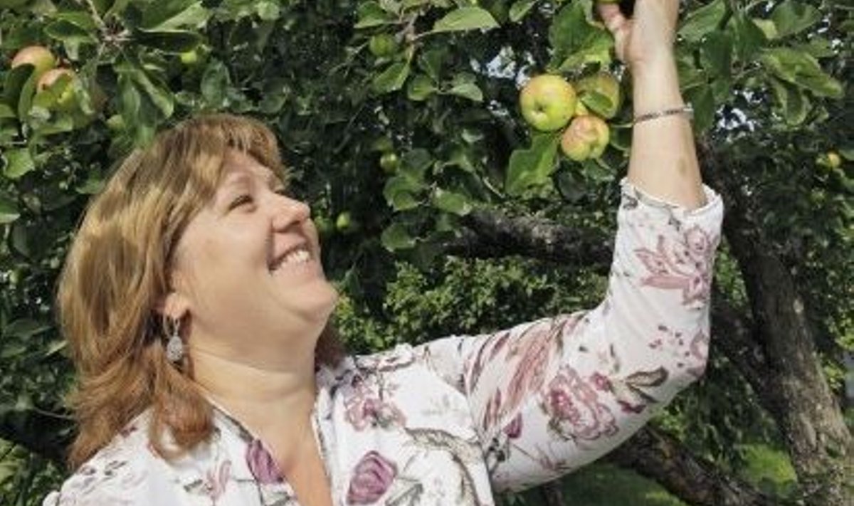 Nõo vallas elava Katrin Ratniku õunapuud on erinevalt möödunud aastast  viljade all lookas.