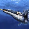 Avastati seni teadlastele tundmatu kiskja, kes valitses meresid 90 miljonit aastat tagasi