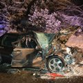 Vastu puud sõitnud roolijoodiku autos sai viga kaassõitja
