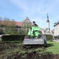 VIDEO | Tallinna abilinnapea süüdistab vanalinnas oma maalapile kartuleid istutanud ettevõtjat muinsuskaitseseaduse rikkumises, muinsuskaitseamet probleemi ei näe