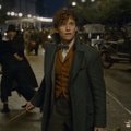 Nädalavahetuse TOP7 | "Fantastilised elukad: Grindelwaldi kuritööd" oli Harry Potteri fännide seas väga edukas