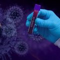 В мире зафиксировано рекордное суточное число заражений коронавирусом