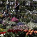 GALERII | Türi lillelaat sai avapaugu: päike paistab lagipähe ning kaupa saab osta pea 700 kauplejalt