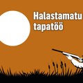 Halastamatu tapatöö. Välismaalased kütivad Eestis linde ebaseaduslikke meetodeid kasutades