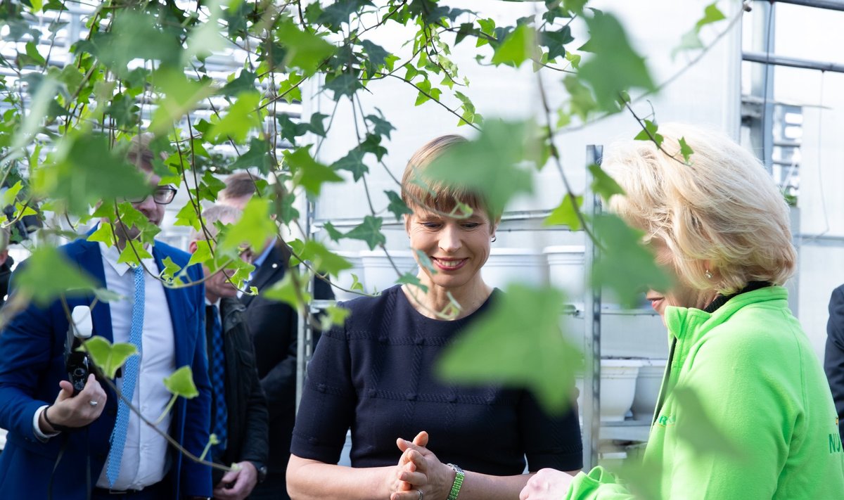 President Kersti Kaljulaid Nurmiko avamisel