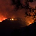 На Кипре бушует лесной пожар. Власти называют его самым страшным в истории страны и просят о помощи