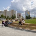 В Ласнамяэ пройдет конкурс ”зеленых” балконов
