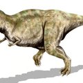 Tyrannosaurus rexi tillukesed esijäsemed võisid olla tegelikult tõelised surmarelvad