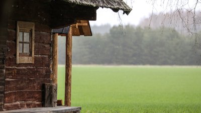 Saunamajake Lõuna-Eesti metsatalus