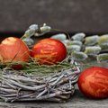 Святая красота: тестируем магазинные краски для пасхальных яиц