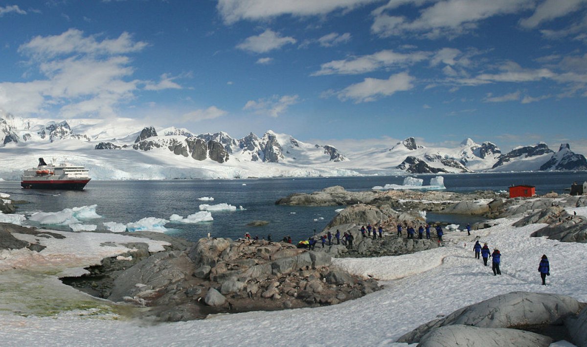 Petermanni saar Antarktika esisel. Foto: Cascoly