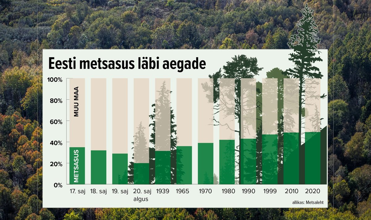 Eesti metsasus läbi aja.