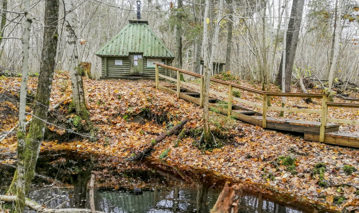 Metsaonn Laiksaare loodusrajal