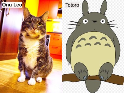 Kumb on kumb? Leo ja Totoro