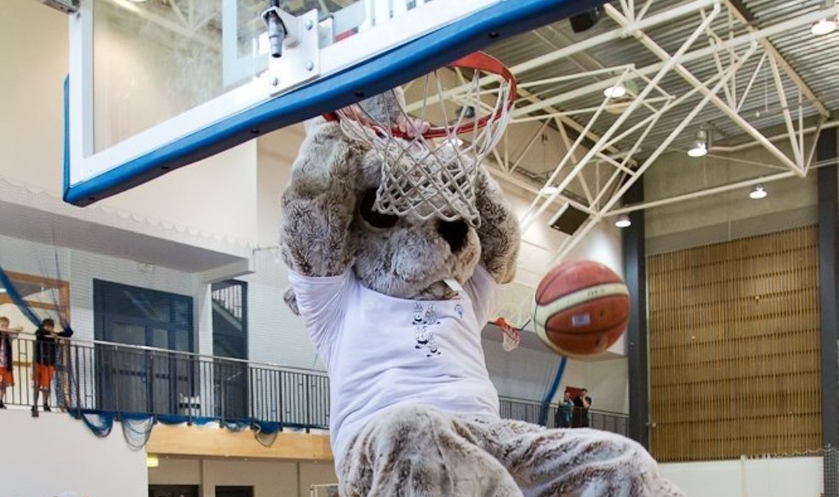 Maskott pealtpanek, Foto: basket.ee.