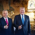 Orbán suundus rahumissiooniga Floridasse ja kohtus Trumpiga