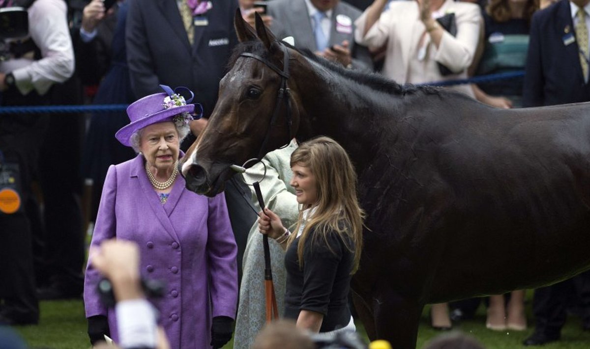 Elizabeth II ja hobune Estimate