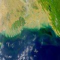 В Индийском океане появилась огромная мертвая зона