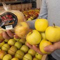Põllumajandusamet: me ei saa Mulgi Õuna müüdavate õunte eestimaist päritolu kinnitada
