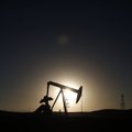 Нефть резко подорожала после ареста принцев в Саудовской Аравии