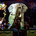В Виймси приезжает цирк будущего - с голограммами вместо реальных животных