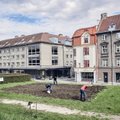 ВИДЕО | Посадивший картофель в Старом городе бизнесмен окончательно проиграл тяжбу с властями Таллинна