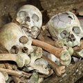 На юге России найдены древние черепа со следами ритуальной трепанации